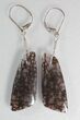 Black Spiderweb Dinosaur Gembone Earrings #22529-2